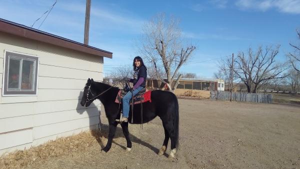 Belmont Stables