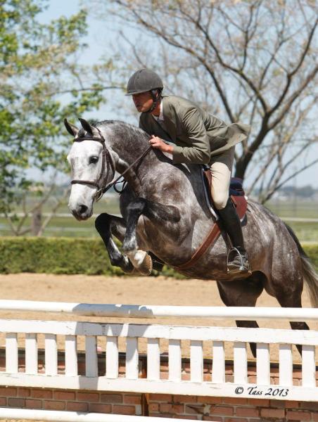 Flying Changes: the Horseback Riding School at Goose Chase Farm