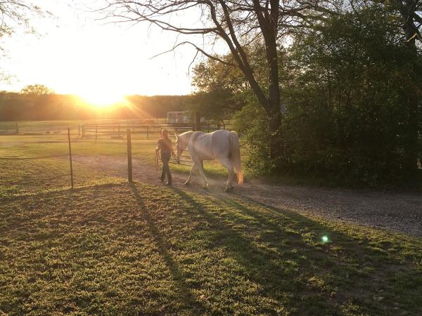 Hidden Creek Horse Farm