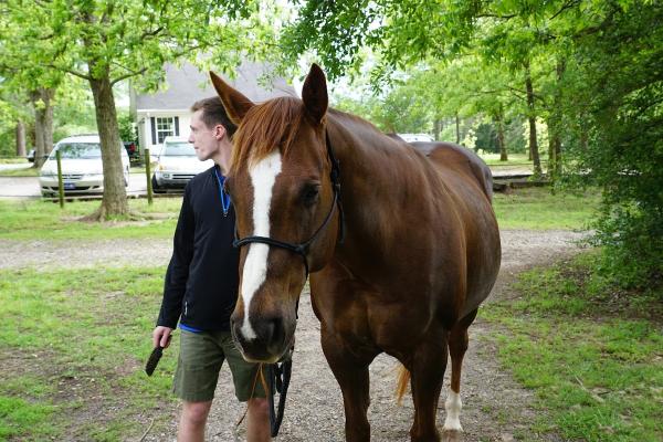 Hidden Creek Horse Farm