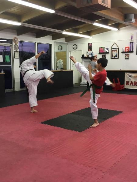 Okinawa Karate Shōrin-ryū