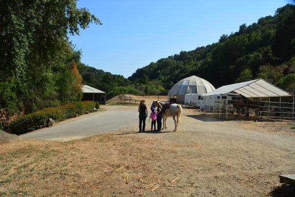 Sonrise Equestrian Foundation