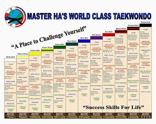 Master Ha's World Class Tae Kwon Do