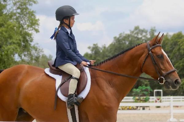 Clermont Equestrian