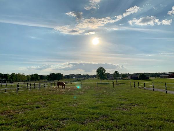 Clermont Equestrian