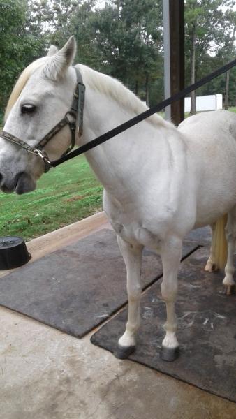 Edgebrook Equestrian Center