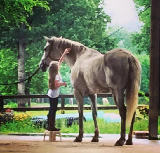 Edgebrook Equestrian Center