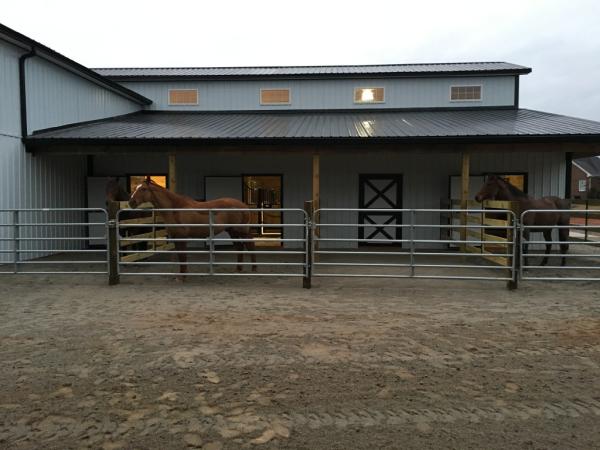 Blue Skies Stables