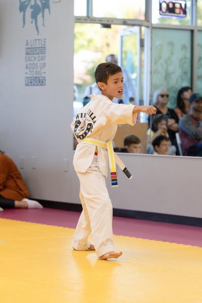 Wilsonville Taekwondo Academy