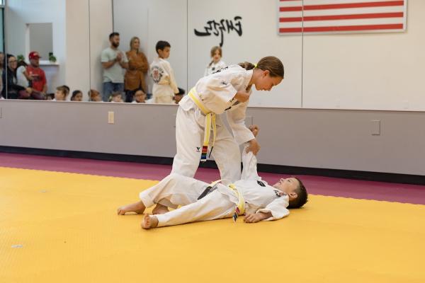 Wilsonville Taekwondo Academy