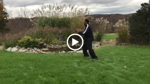 Green Dragon Tai Chi and Qigong