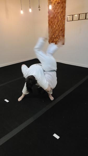 Juko-Ryu Toide & Martial Arts Center