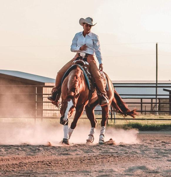 Sydney Jackson Performance Horses