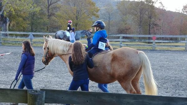 Charlottesville Area Riding Therapy