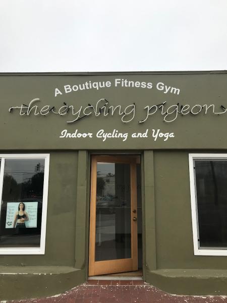 The Cycling Pigeon