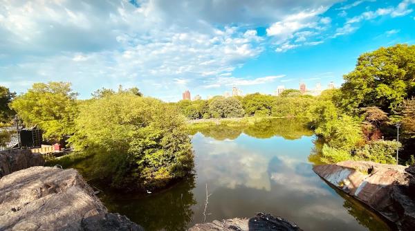 Delacorte Theater