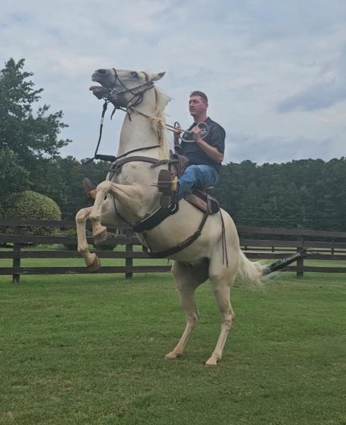 ED Dabney Gentle Horsemanship