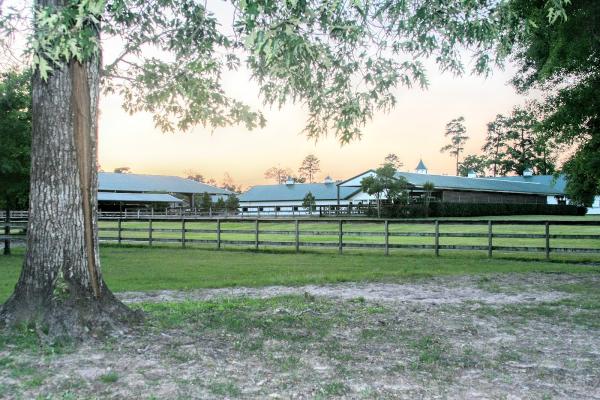 Augusta Pines Farm