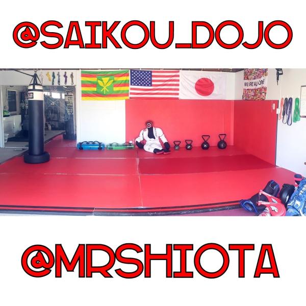 Saikou MMA (Private Dojo)