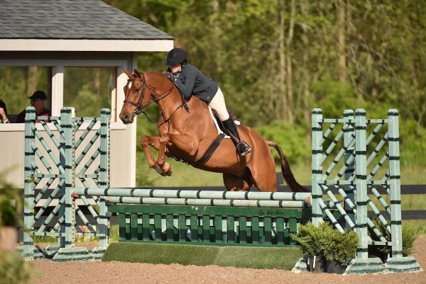Red Horse Equine LLC