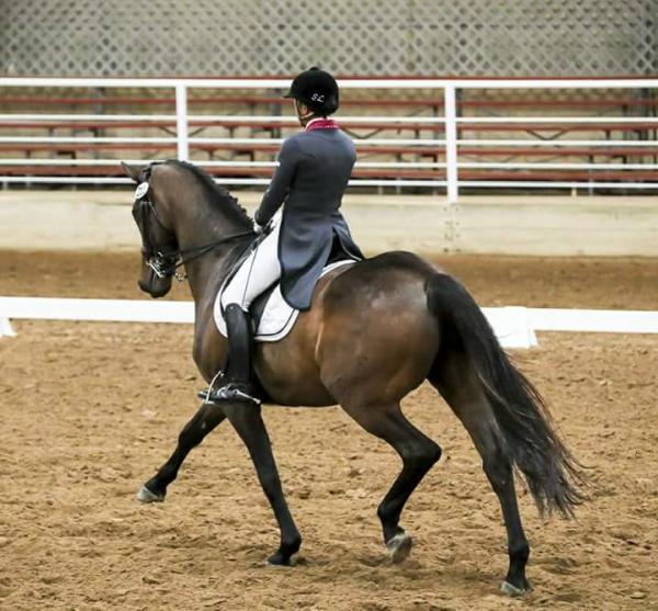 L & L Lindenberg Dressage