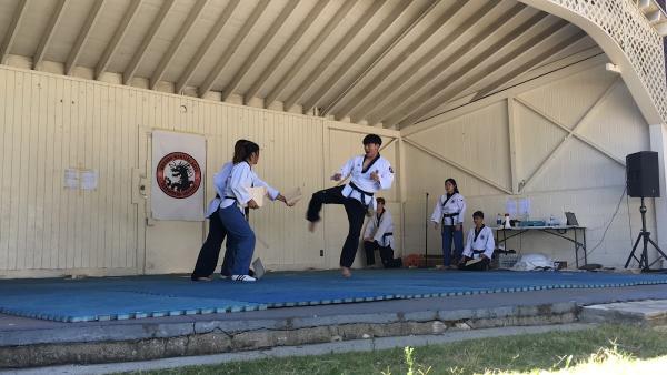 Dragon Martial Arts ~ Taekwondo & Hapkido