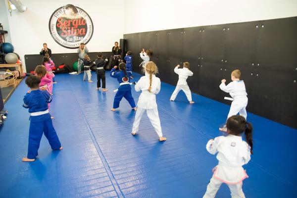 Team Silva Martial Arts Academy