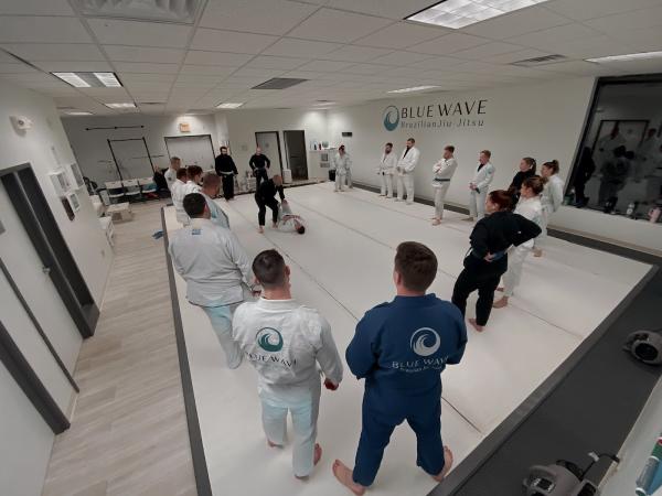 Blue Wave Brazilian Jiu Jitsu