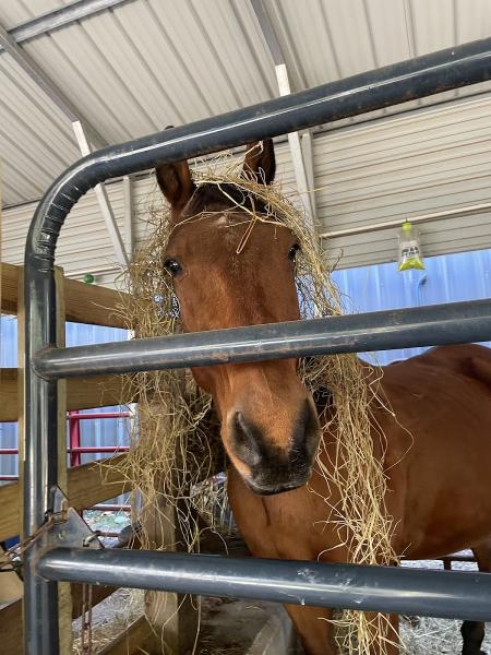 Whitewater Equestrian Center