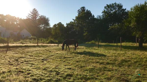 Serenity Fields Farm