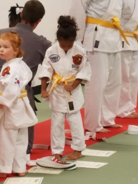 American Judo-Hapkido Institute