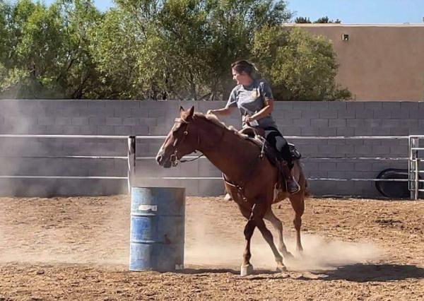 Horseback Riding Club