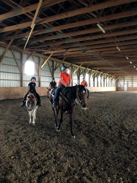 Obenour Equine Center