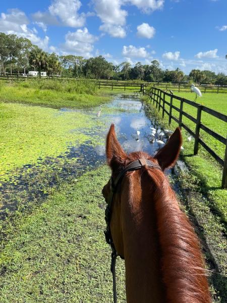 Casperey Stables