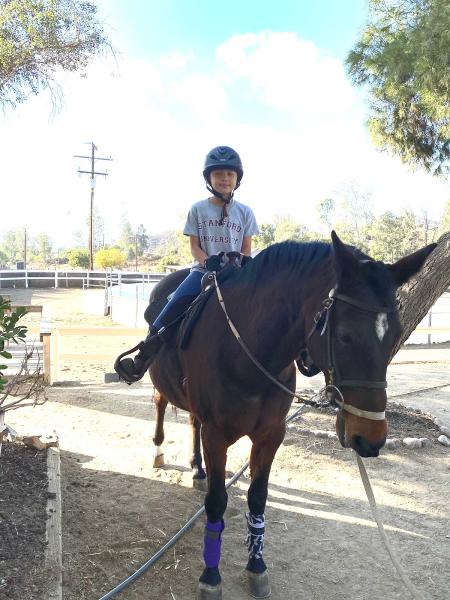 Sterling Hill Training & Riding Academy