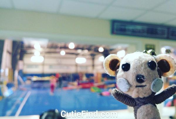 Gymnastics Inc