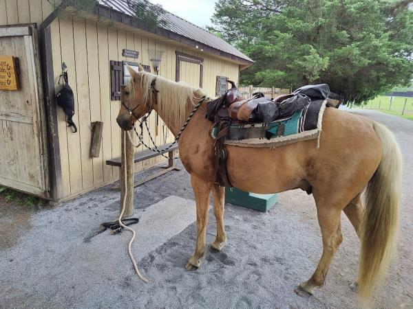 Winsome Farm Ranch Resort