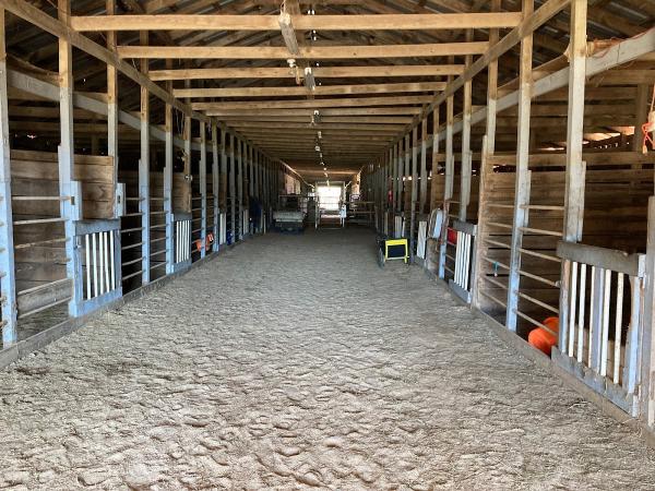 Marshall Ranch and Rescue