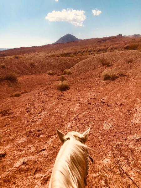 Silver State Horseback Riding Tours