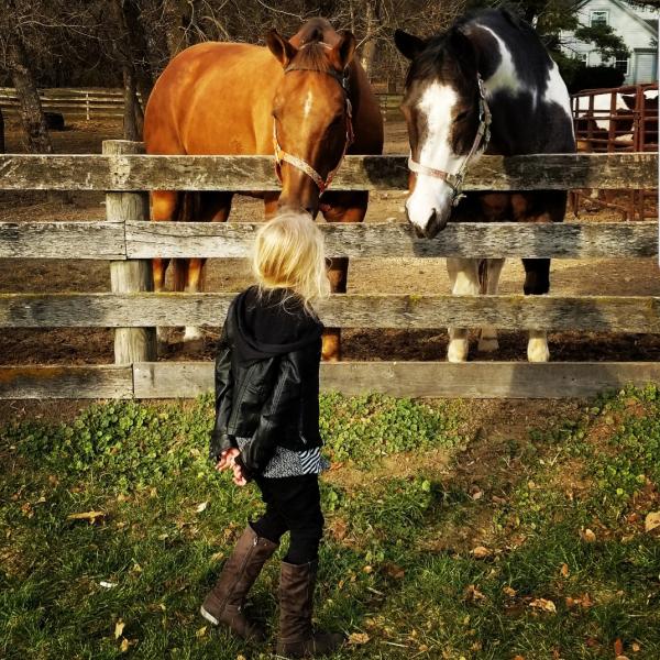 Timmermann's Ranch & Saddle Shop