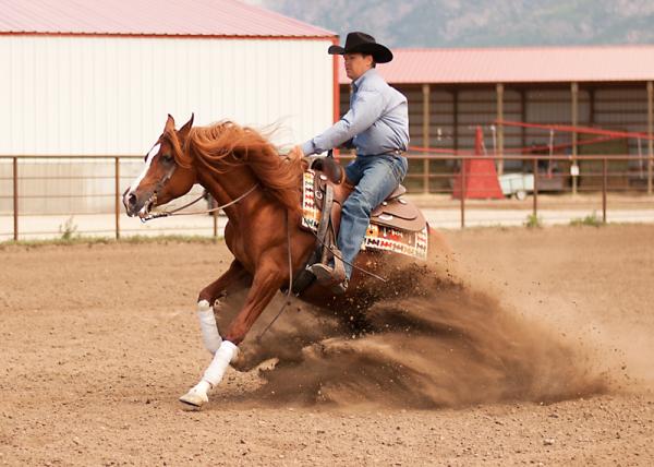 Preston Kent Reining