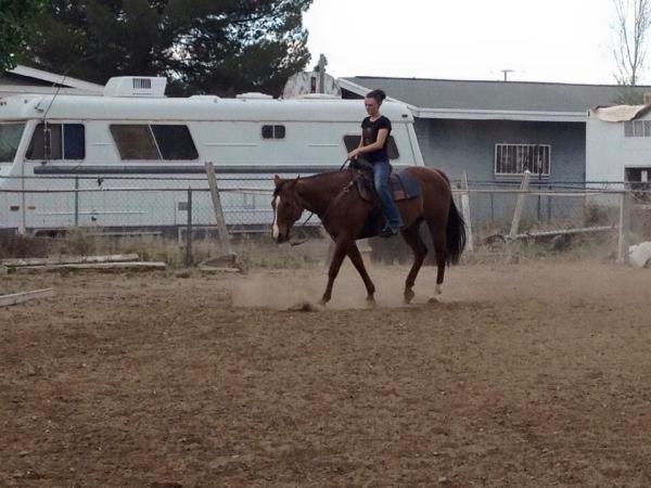 Kountry Klub Quarter Horses