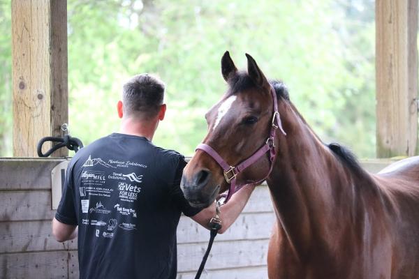 Heartstrides Therapeutic Horsemanship