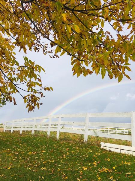 Creekview Riding Center