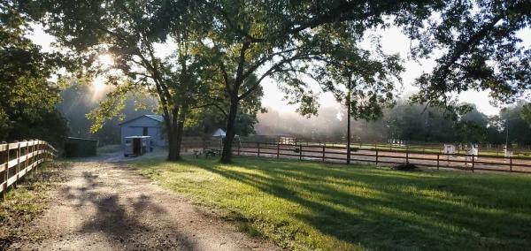 Emerald Leaf Stables