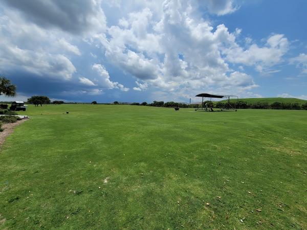 First Tee