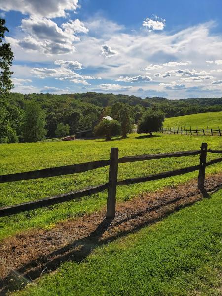 Lions Head Farm