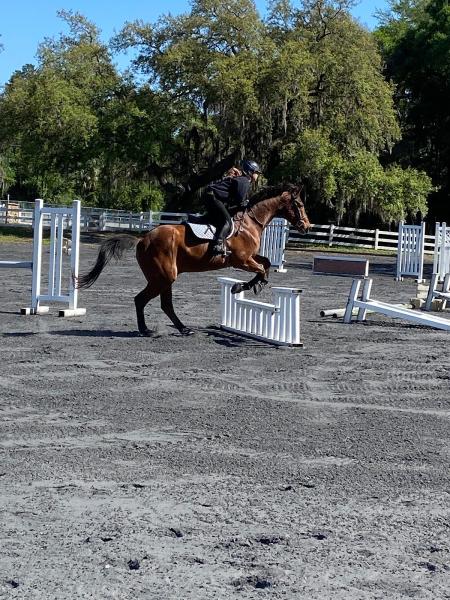 Fireant Farm Equestrian Center