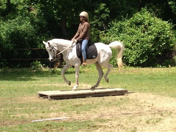 Wind Crest Horse Farm