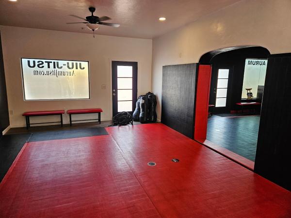 Aurum Brazilian Jiu Jitsu Academy